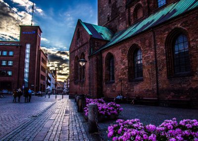 The Cathedral of Aarhus (Aarhus Domkirke)